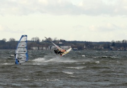 Windsurfer