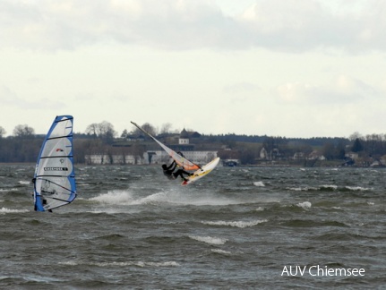 Windsurfer