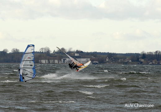 Windsurfer