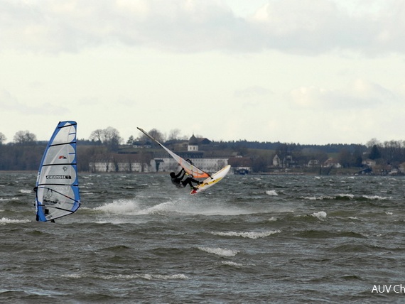 Windsurfer