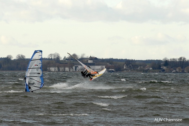 Windsurfer