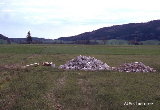 Thalkirchener Moos