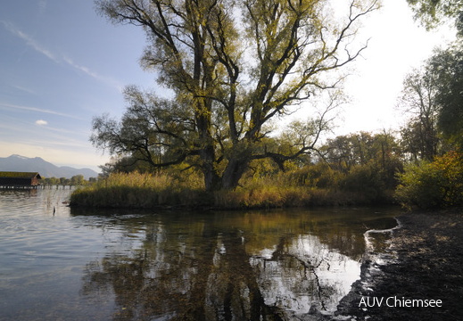 Mühlbach beim "Fischer am See"