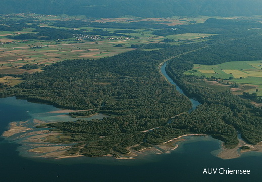 Delta der Tiroler Ache