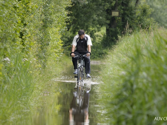 Uferweg &quot;unter Wasser&quot;