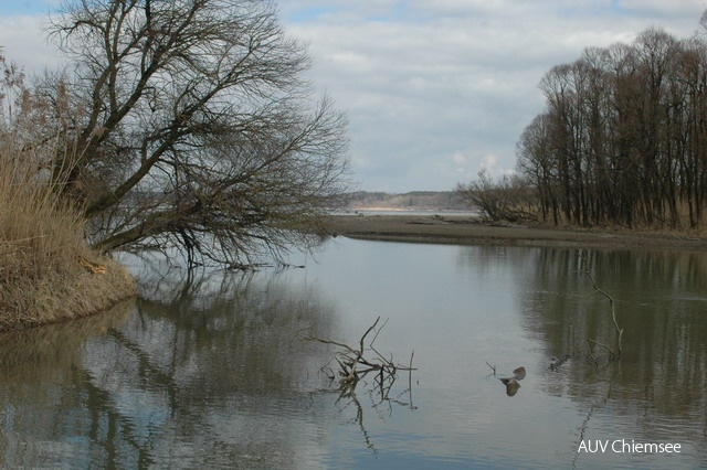 Chs-AD-ml-24-Altw-DSC_2449.JPG