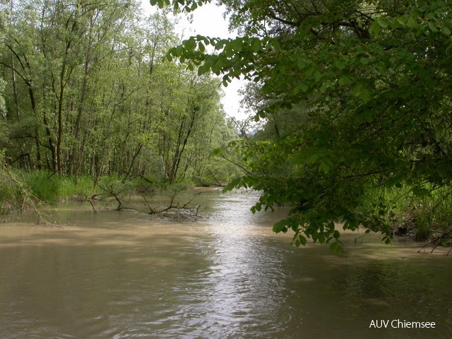 Chs-AD-ml-27-Altwasser-DSCN3084.JPG
