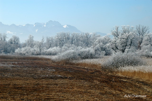 Winteraspekt mit Kampenwand