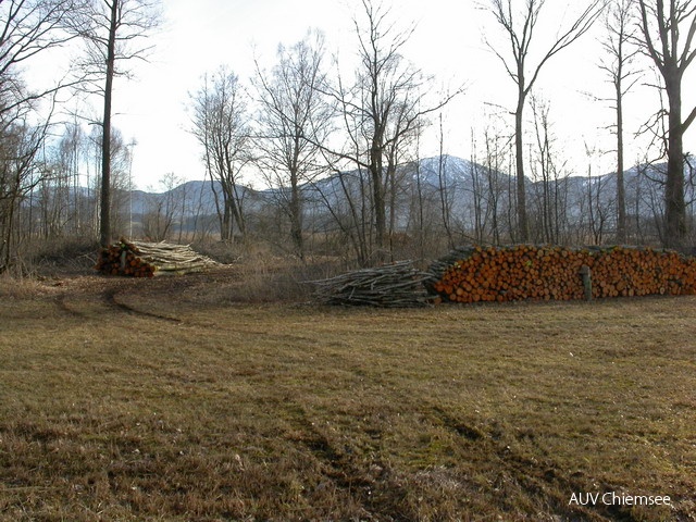 Holznutzung