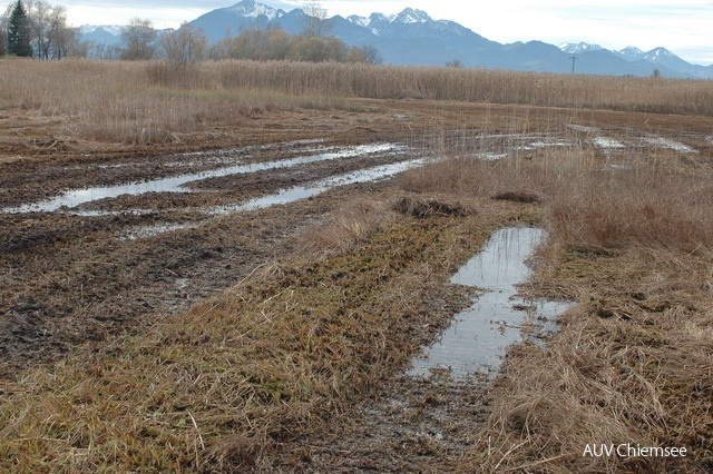 Landschaftspflege