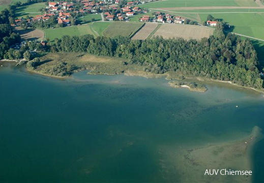 Schützing