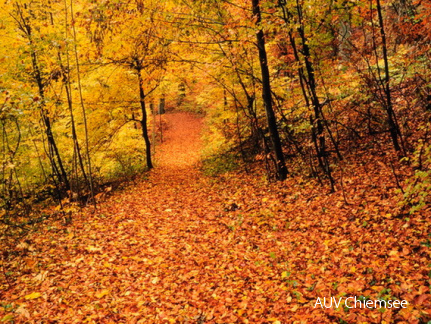 Im Eichental im Herbst