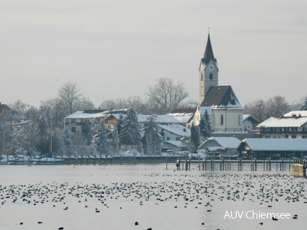 Chiemsee bei Seebruck