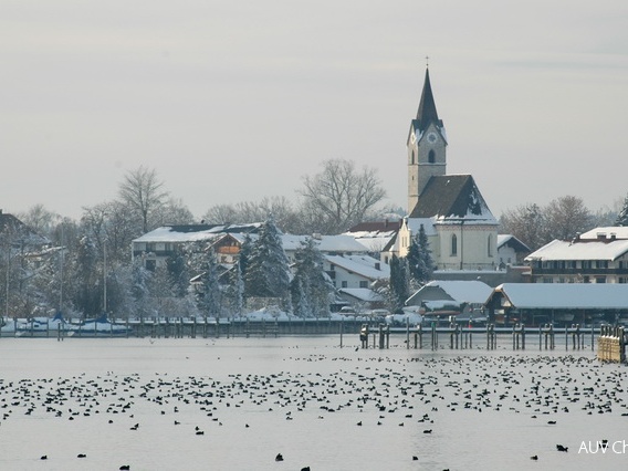 Chiemsee bei Seebruck