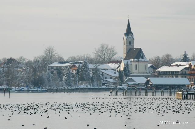 Chiemsee bei Seebruck