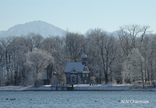 Raureif auf der Herreninsel