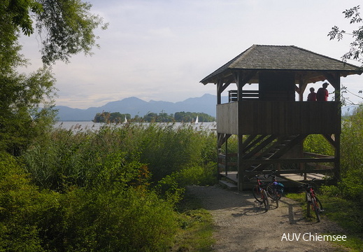 Beobachtungsturm Ganszipfel