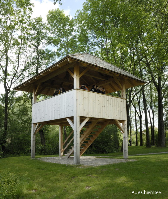 Vogelbeobachtungen am Turm