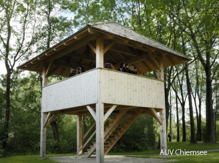 Vogelbeobachtungen am Turm