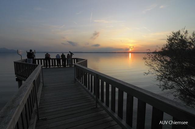 Sonnenuntergang an der Plattform