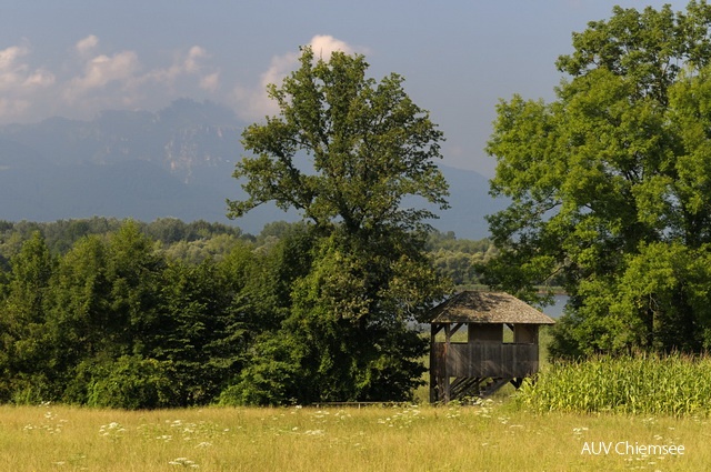 Aussichtsturm Hagenau