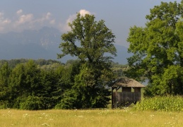 Aussichtsturm Hagenau