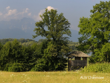 Aussichtsturm Hagenau