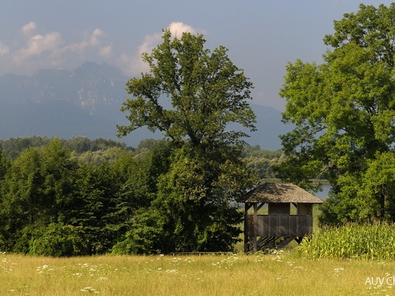 Aussichtsturm Hagenau