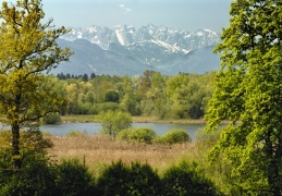 Aussichtsturm Hagenau