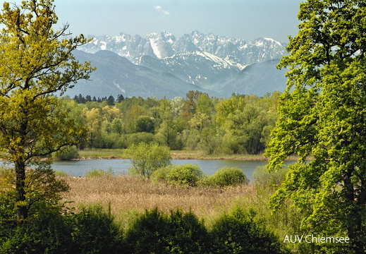 Aussichtsturm Hagenau