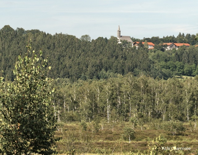 Blick zum Westerbuchberg