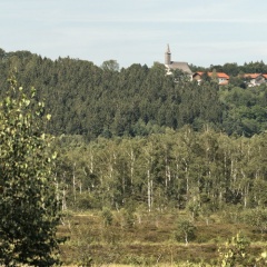 Blick zum Westerbuchberg