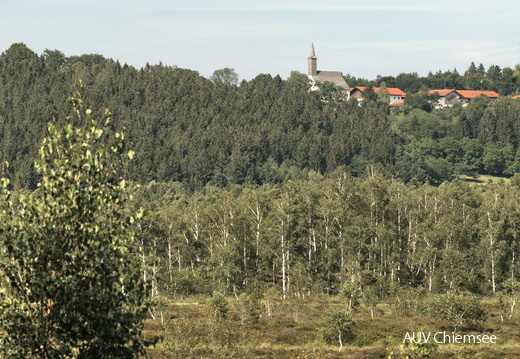Blick zum Westerbuchberg