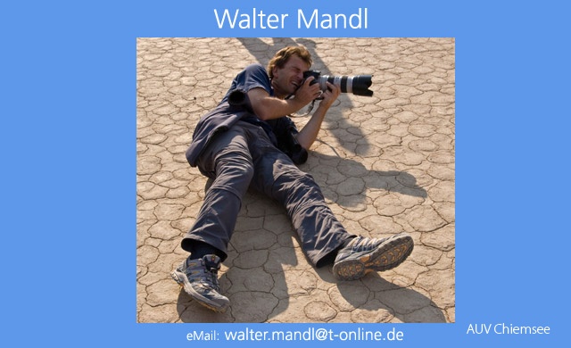 Fot-wm-Walter_Mandl-640pix.jpg
