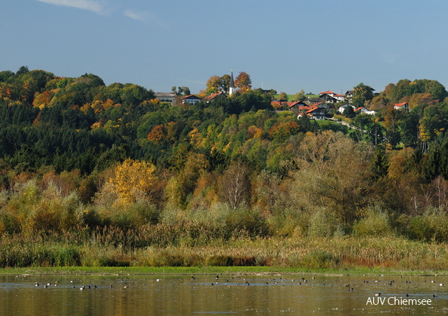 Turmausblick nach Westen