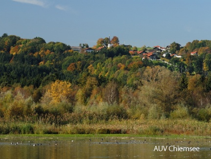 Turmausblick nach Westen