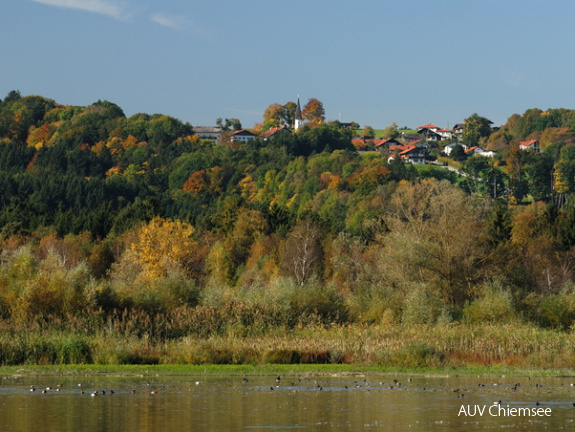 Turmausblick nach Westen