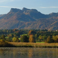 Turmausblick nach Süden