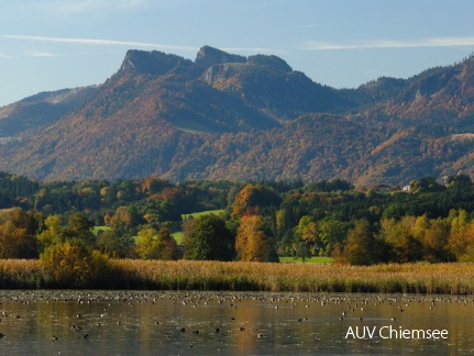 Turmausblick nach Süden