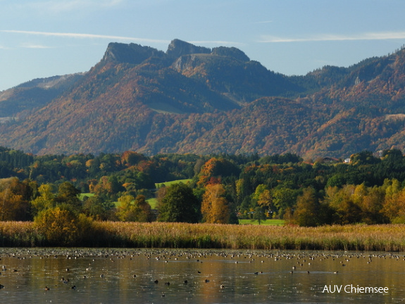 Turmausblick nach Süden