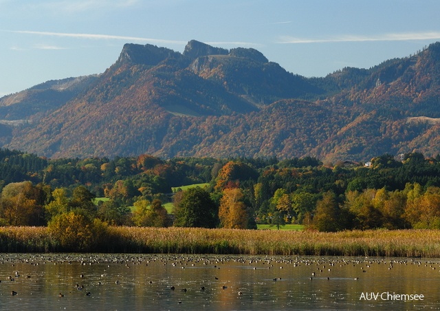 Turmausblick nach Süden