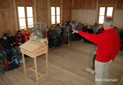 Vogelkunde in der Hütte