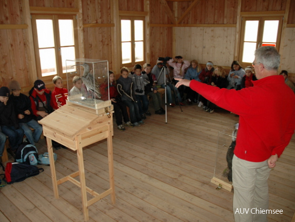 Vogelkunde in der Hütte