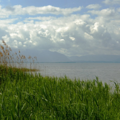 Ausblick vom Turm