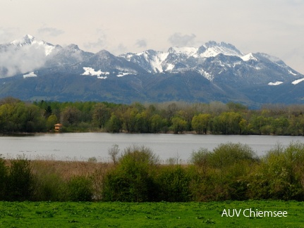 Blick auf den Turm Hirschauer Bucht