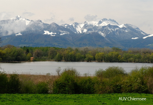 Blick auf den Turm Hirschauer Bucht