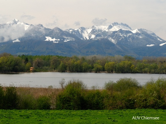 Blick auf den Turm Hirschauer Bucht