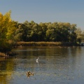 Blick in die Hirschauer Bucht