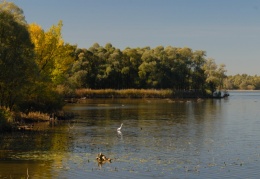 Blick in die Hirschauer Bucht