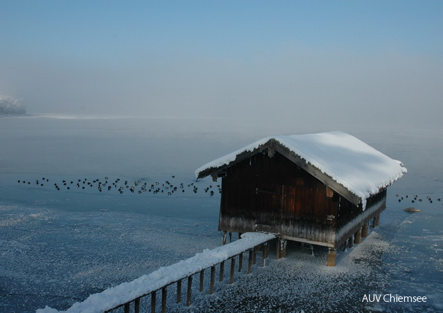 Winter am Turm